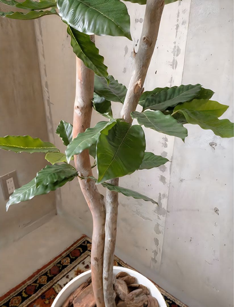 光触媒　人工観葉植物　ウォールグリーン　フェイクグリーン　コーヒーの木g@'t