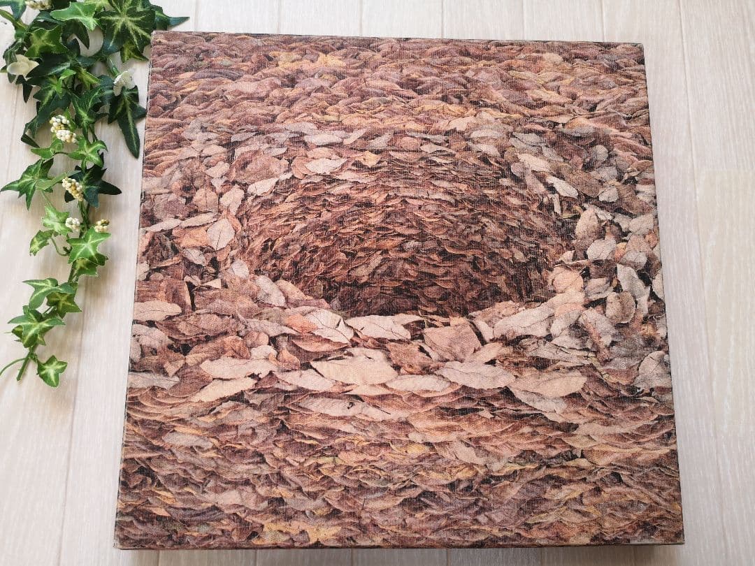 ★ ダニエル・オスト 「 LEAFING THROUGH FLOWERS 」★