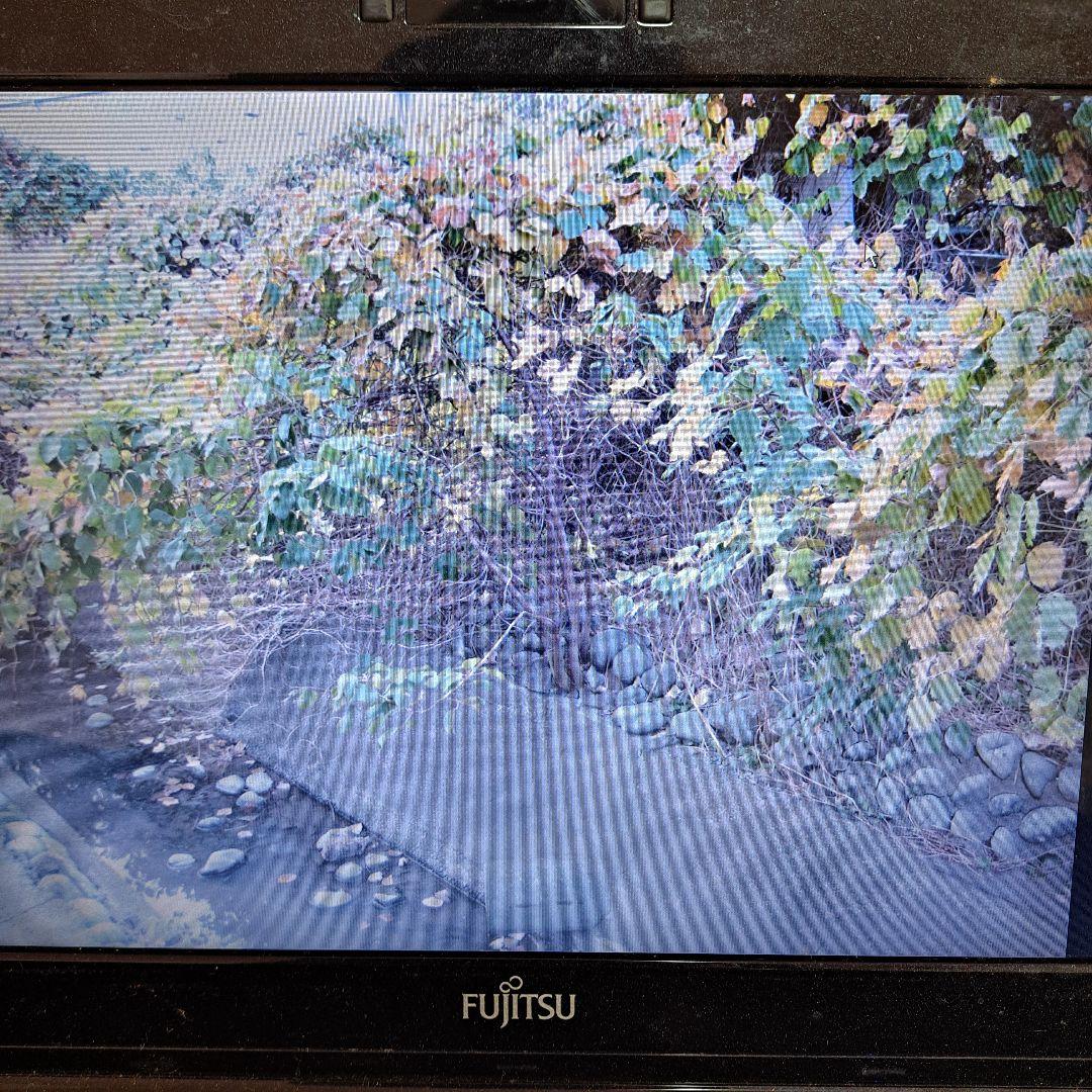 【動作品】Canon IXY DIGITAL 60 PC1158 コンデジ