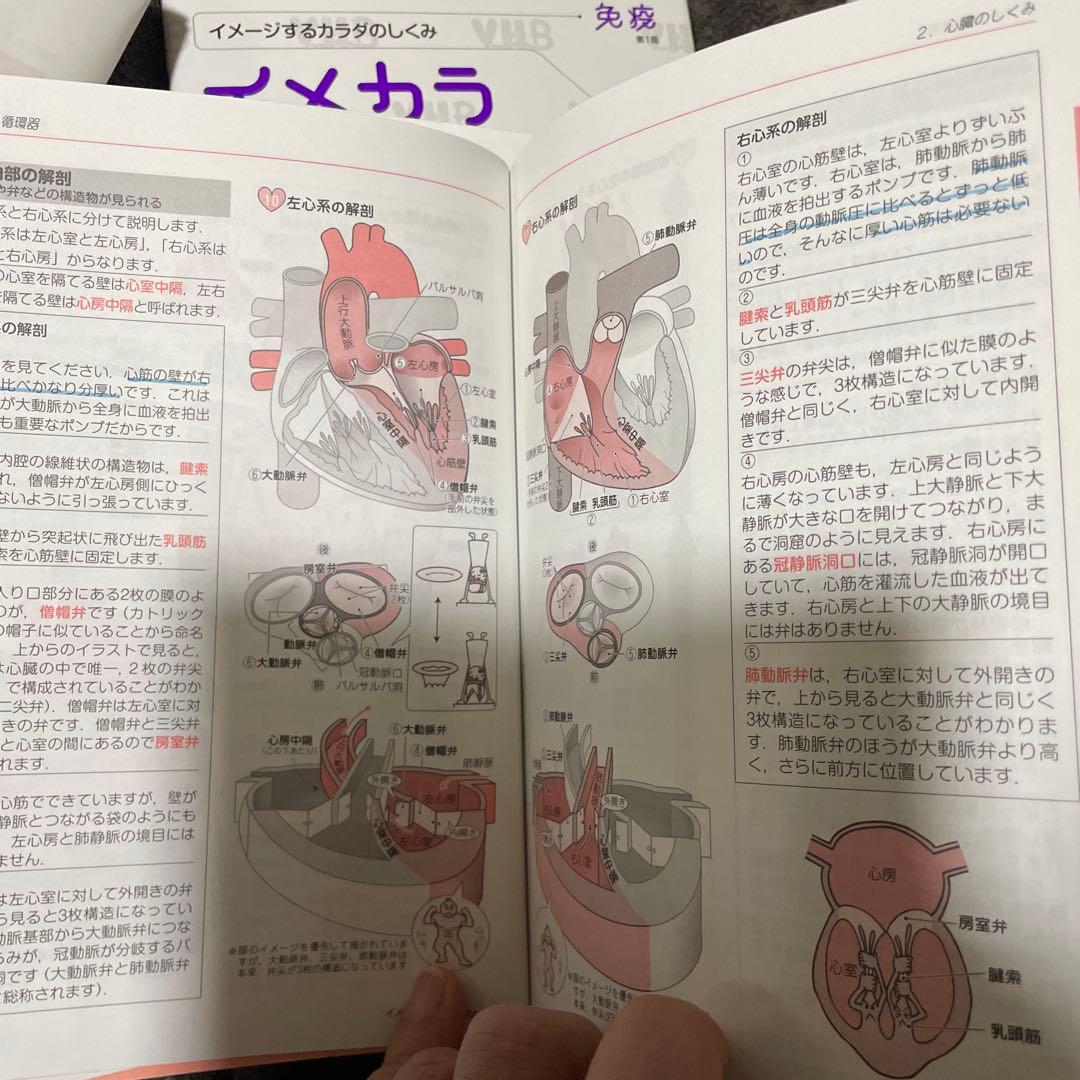 イメージするカラダのしくみ　『イメカラ』8冊セット