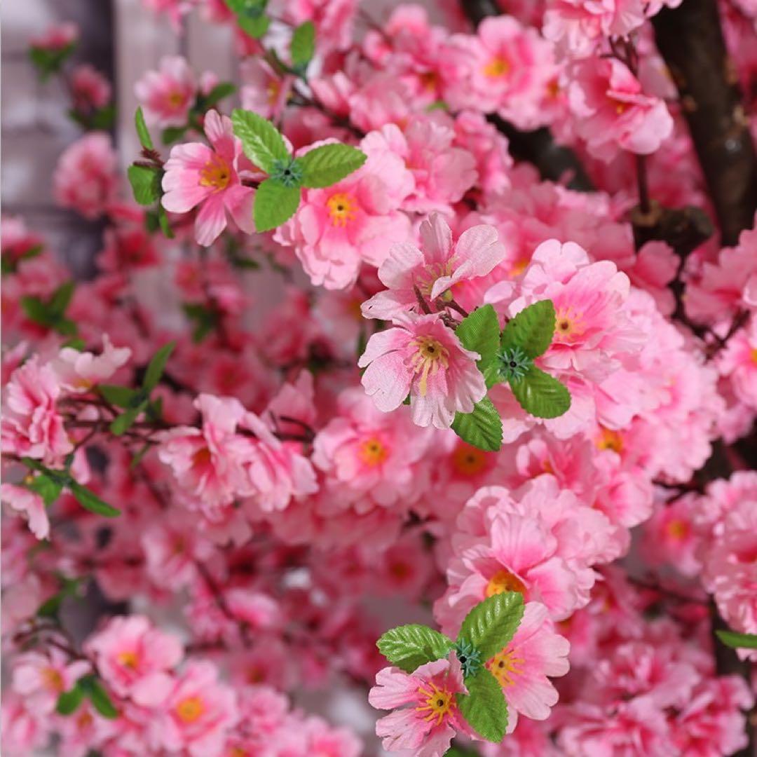桜木　飾り
