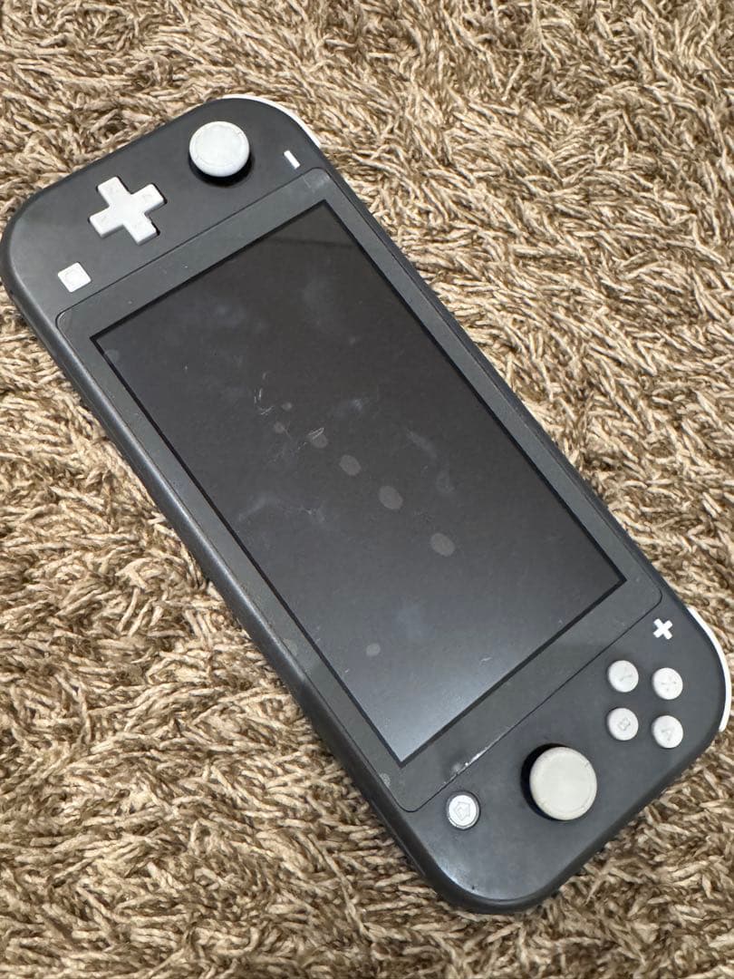 Nintendo Switch Lite 本体 シリコンカバー 充電器 ケース