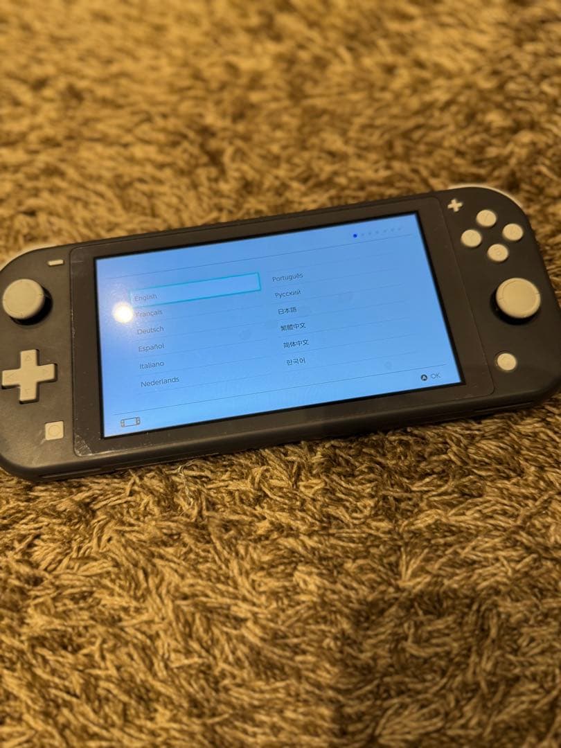 Nintendo Switch Lite 本体 シリコンカバー 充電器 ケース