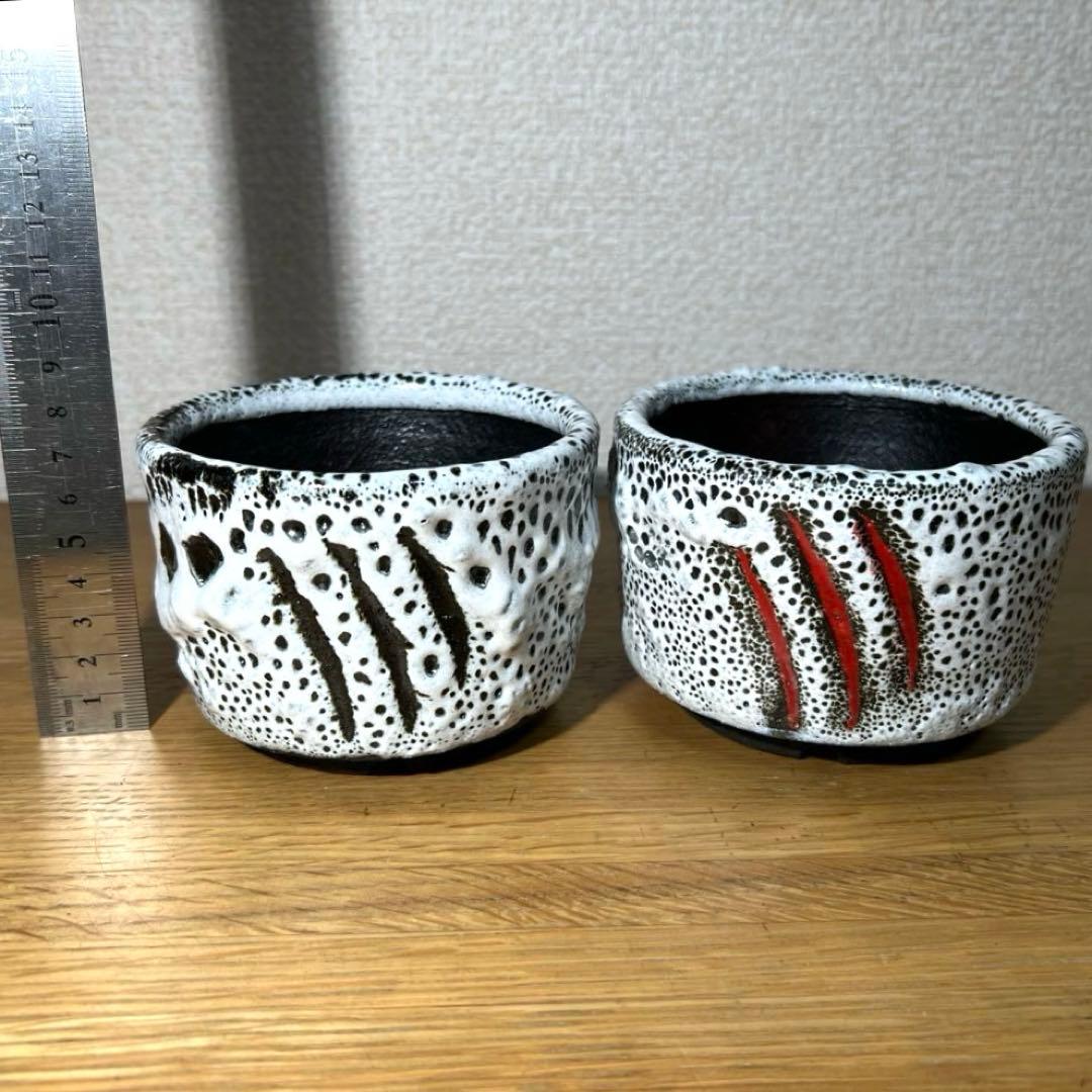 botanize ボタナイズ グレムリン valiem spicygem セット