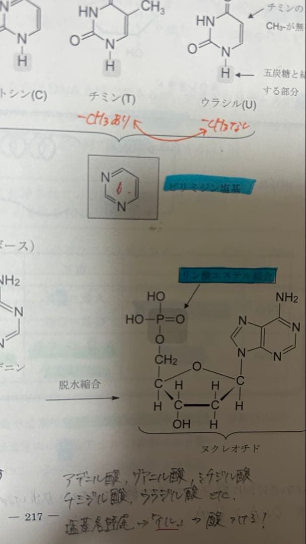 駿台 高3選抜医系化学
