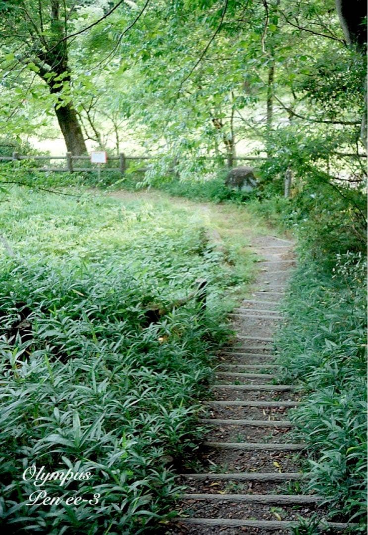 ★作例多数！★olympus pen ee3★完動・美品・赤ベロOK★入門に！