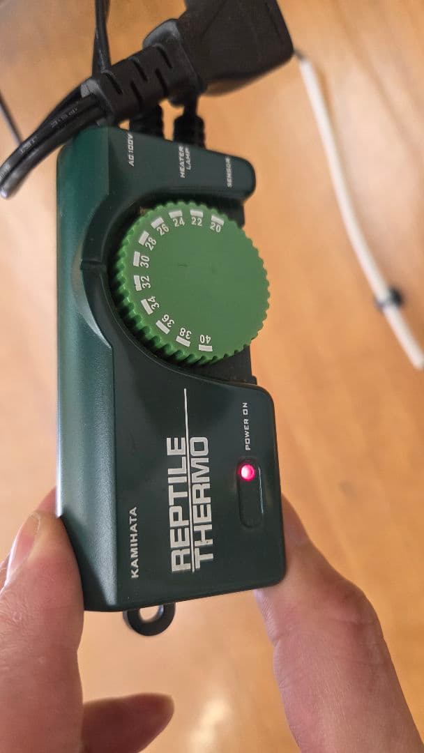 グラステラリウム　3030 サーモ、ダントツs 温度計