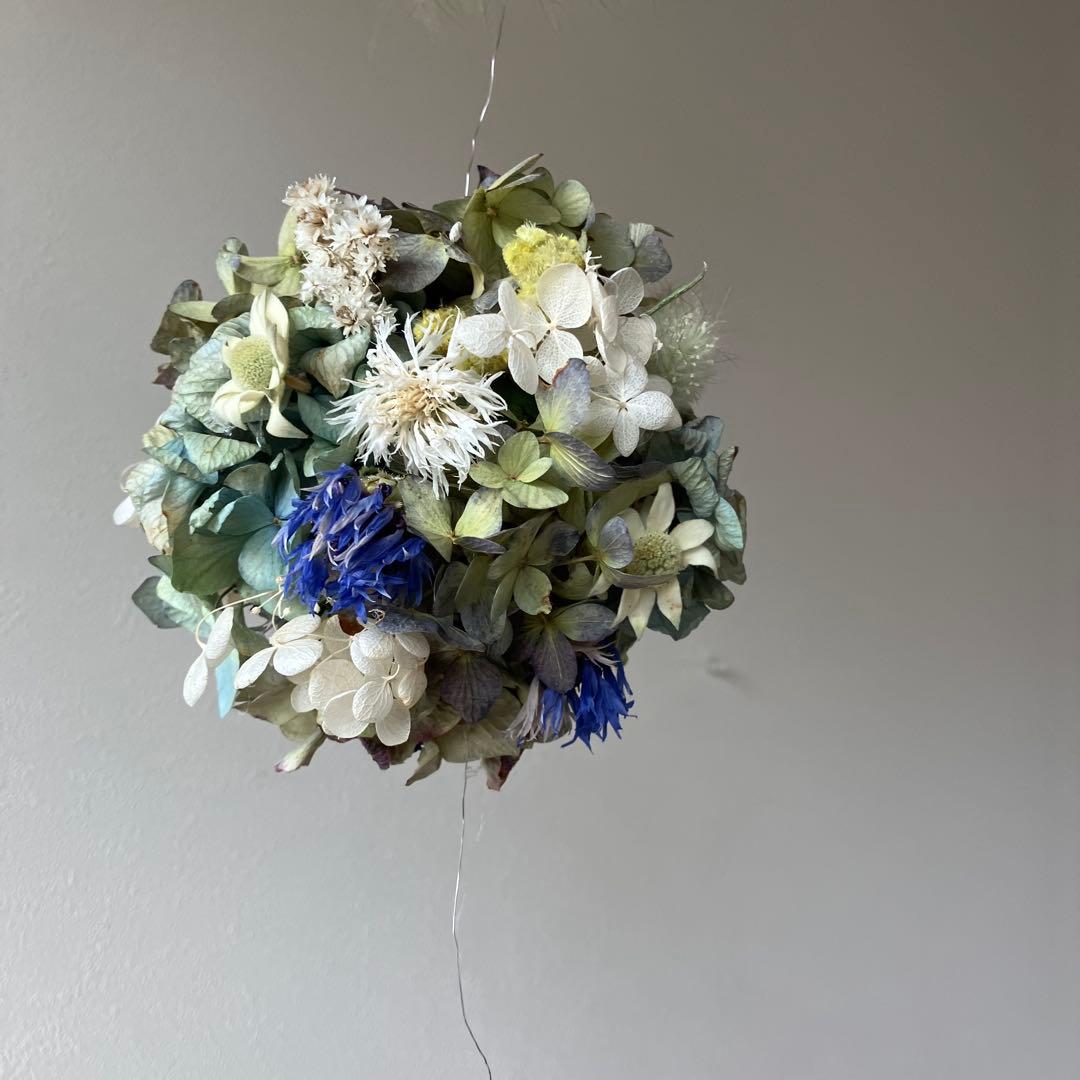 スモークツリー と紫陽花の3連ボールガーランド　千鳥草　フランネルフラワー