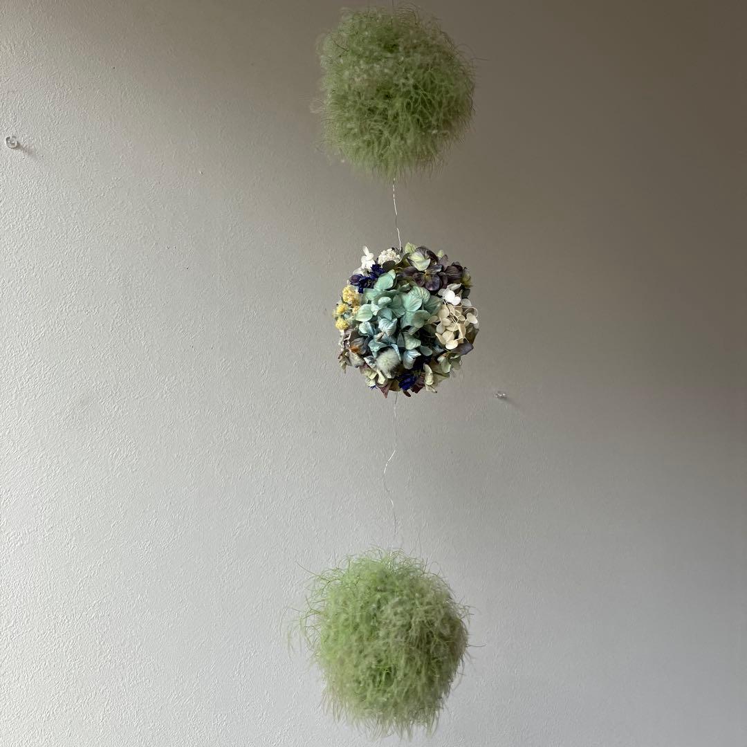 スモークツリー と紫陽花の3連ボールガーランド　千鳥草　フランネルフラワー
