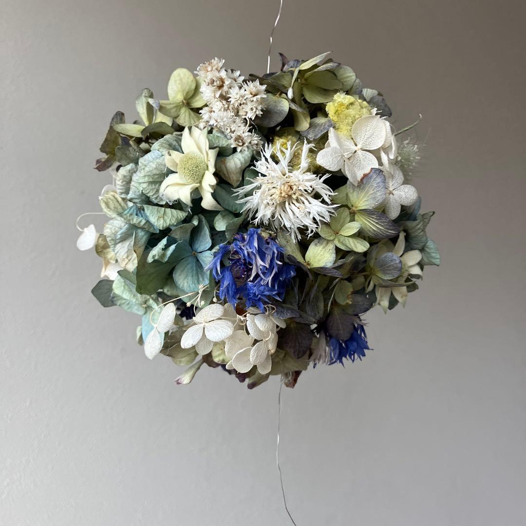 スモークツリー と紫陽花の3連ボールガーランド　千鳥草　フランネルフラワー