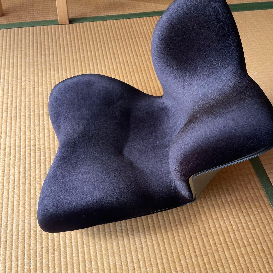 矯正用品・補助ベルト Style PREMIUM DX