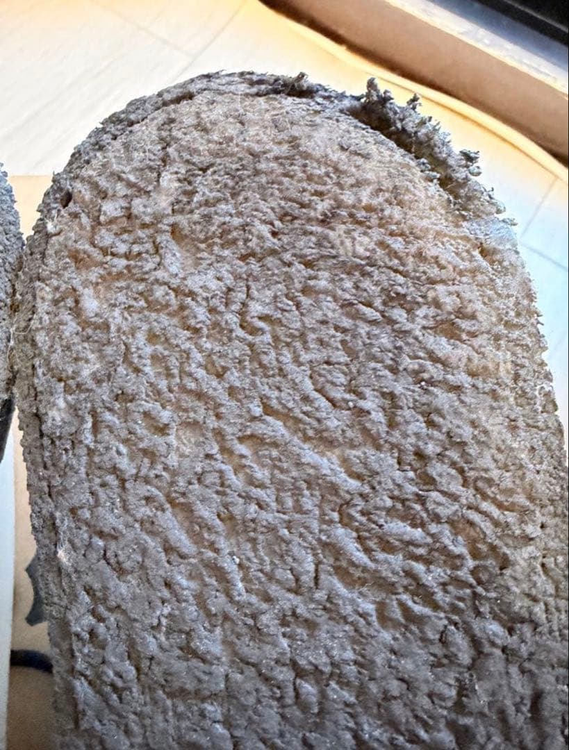 E COX SKIPTON ホワイト サイズ7(26㎝)