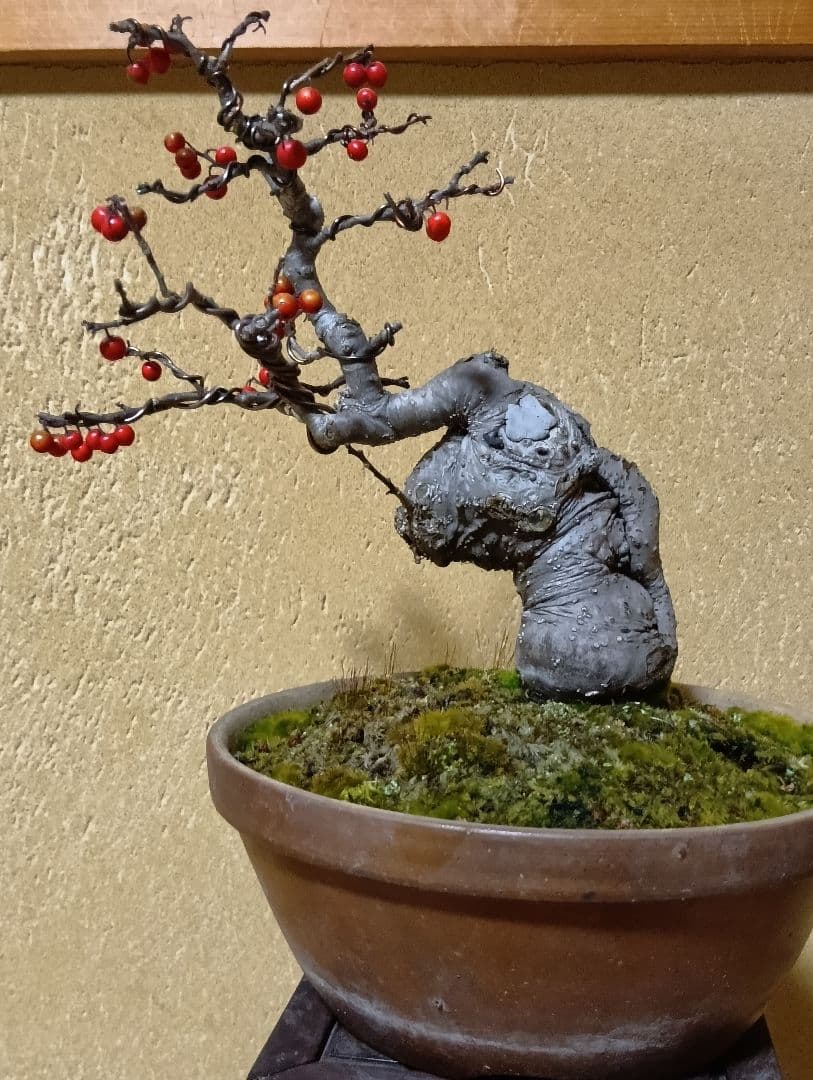 梅モドキ盆栽　枯木