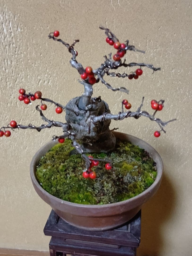 梅モドキ盆栽　枯木