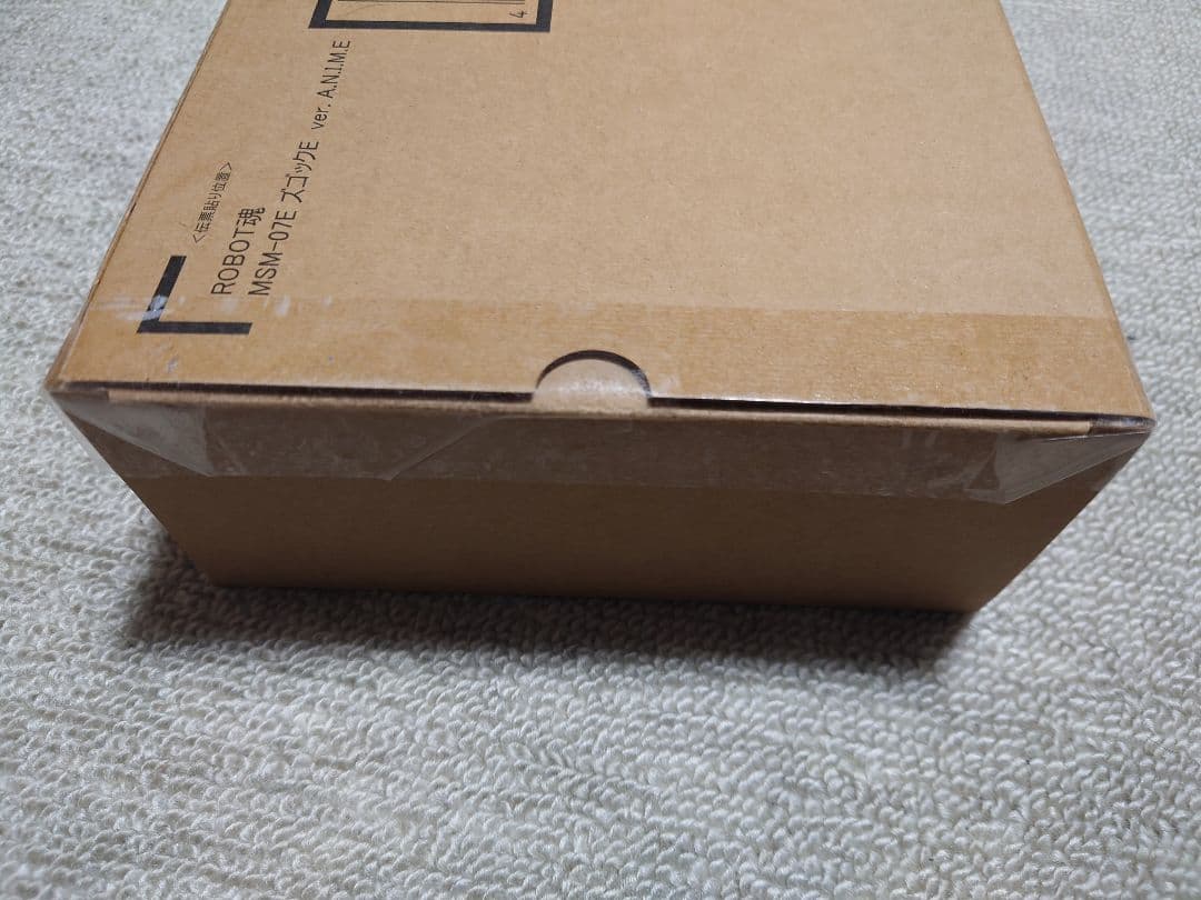 ROBOT魂 ＜SIDE MS＞ ズゴックE ver. A.N.I.M.E.