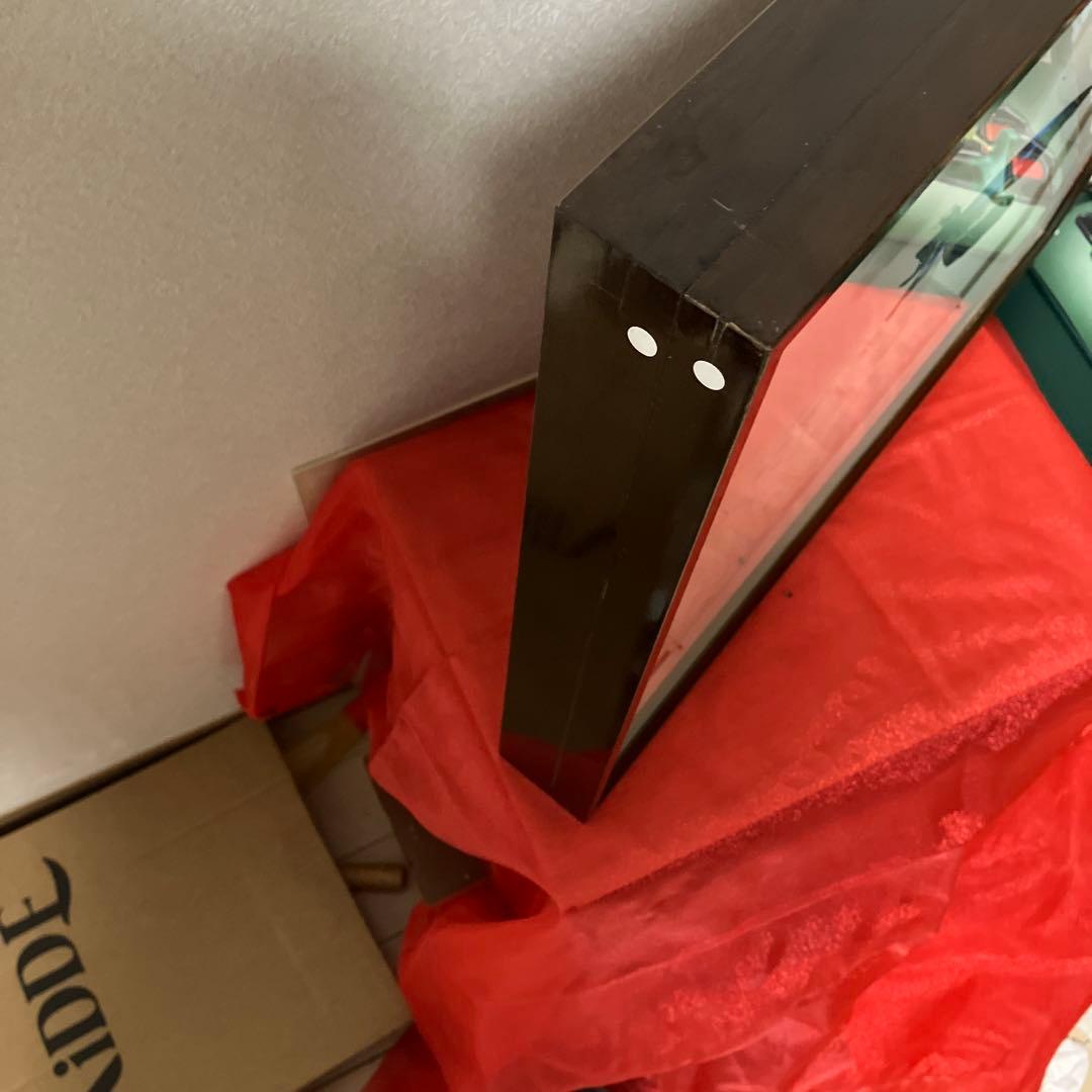 大型ドイツ箱（中古51㎝×42㎝×6㎝）に入ったヘレナモルフォ