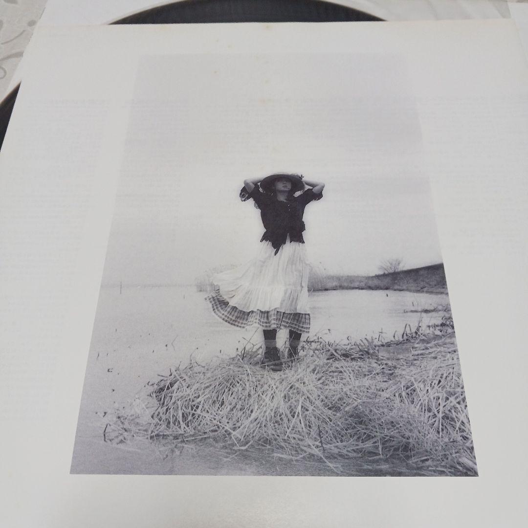 田中裕子純愛ノススメ　サンプル盤 レコード 163246