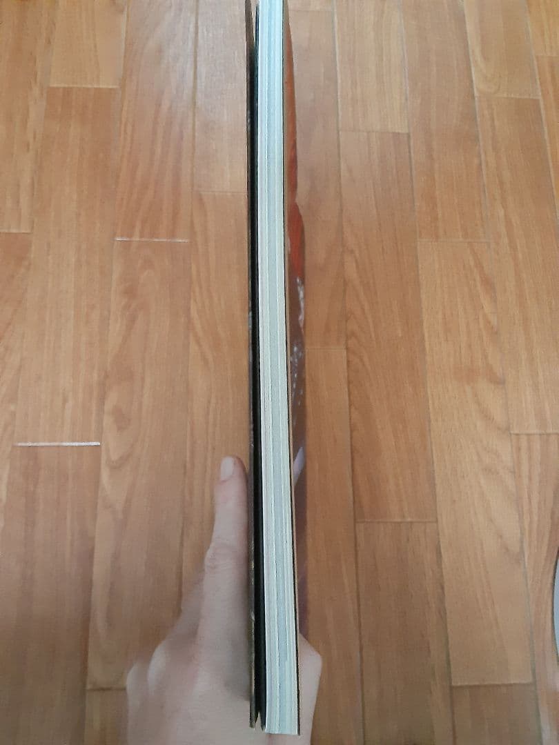 【画集・ベルセルク1997年】クリアファイルセット