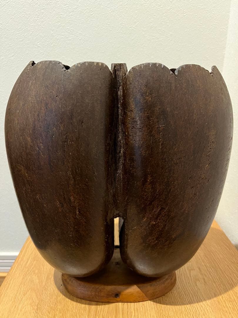 フタゴヤシの置きもの