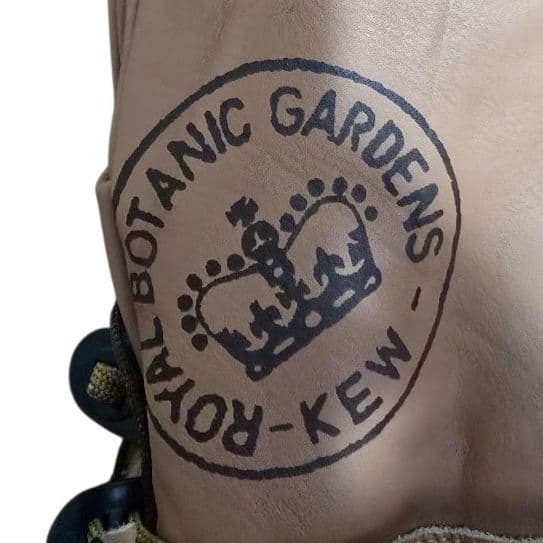 ロイヤルボタニカル キューガーデン 王立植物園 手袋 グローブ XL