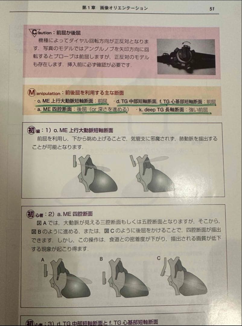 初心者から研修医のための経食道心エコー Ⅱ 2 （裁断済み）