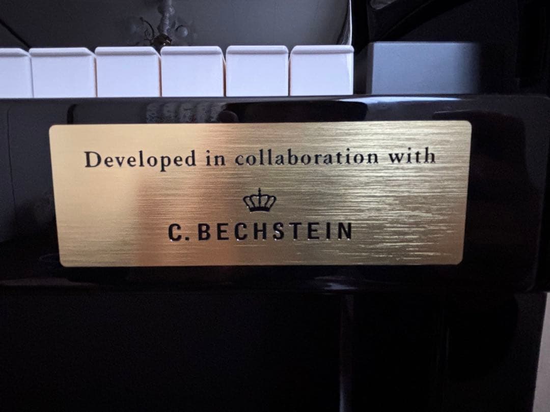 鍵盤楽器 CASIO Celviano Grand Hybrid GP-1000