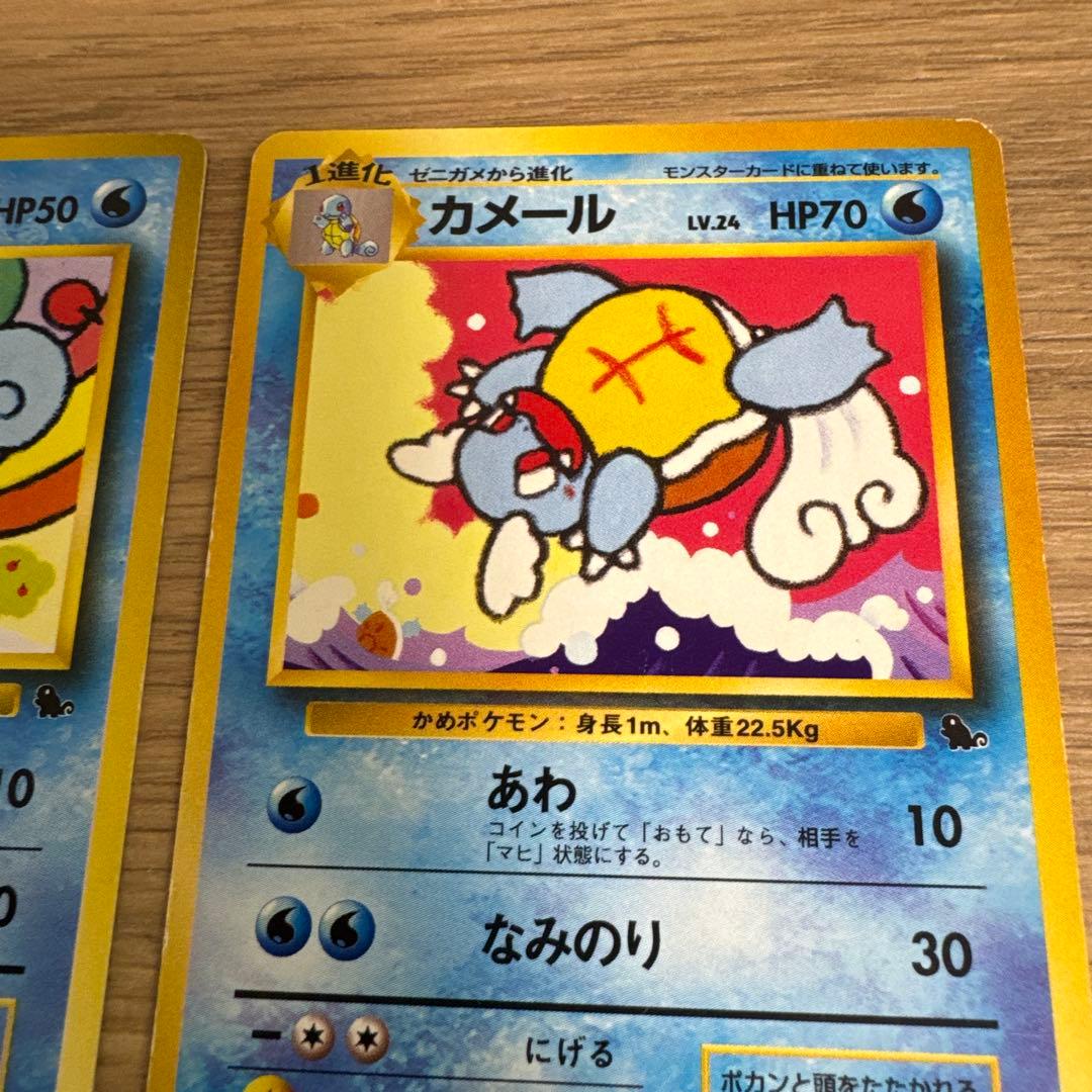 ゼニガメ、カメール イントロパック【5436