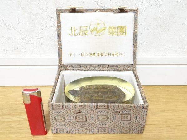 80年代 ビンテージ 亀 クサガメ 蟹 標本 透明 文鎮 水中花 縁起物 当時物