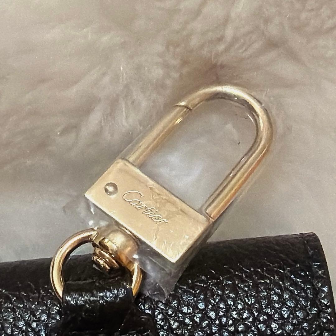 新品　パンテール グラフィック ドゥ カルティエ AIRPOD PRO ケース