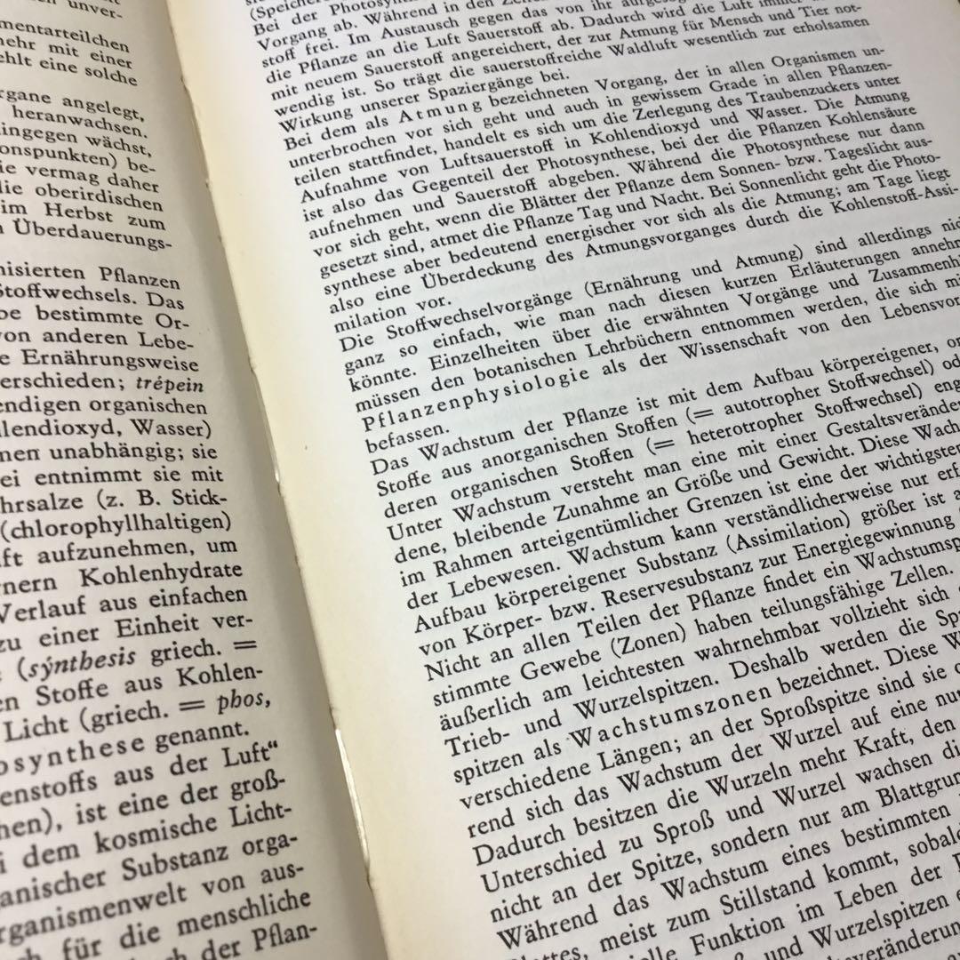 洋書　植物図鑑　ドイツ　花　BLUMEN IN WALD UND FLUR