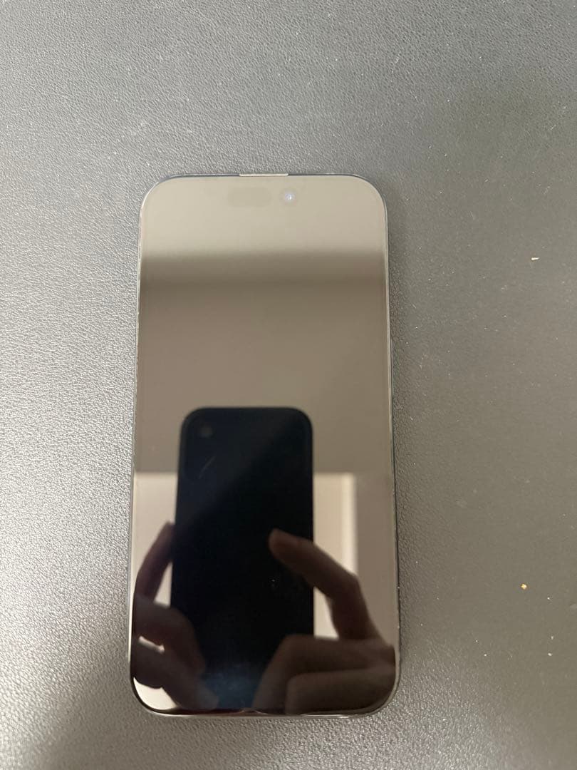 Apple iPhone 15 Pro Blue Titanium USA 無音