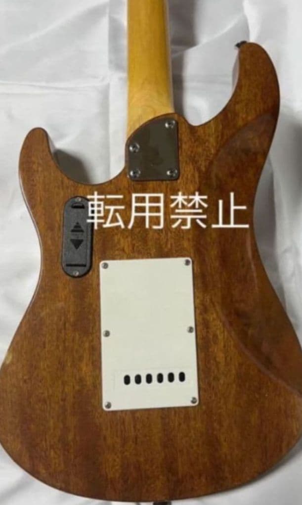 Santanu Pro 光るギター