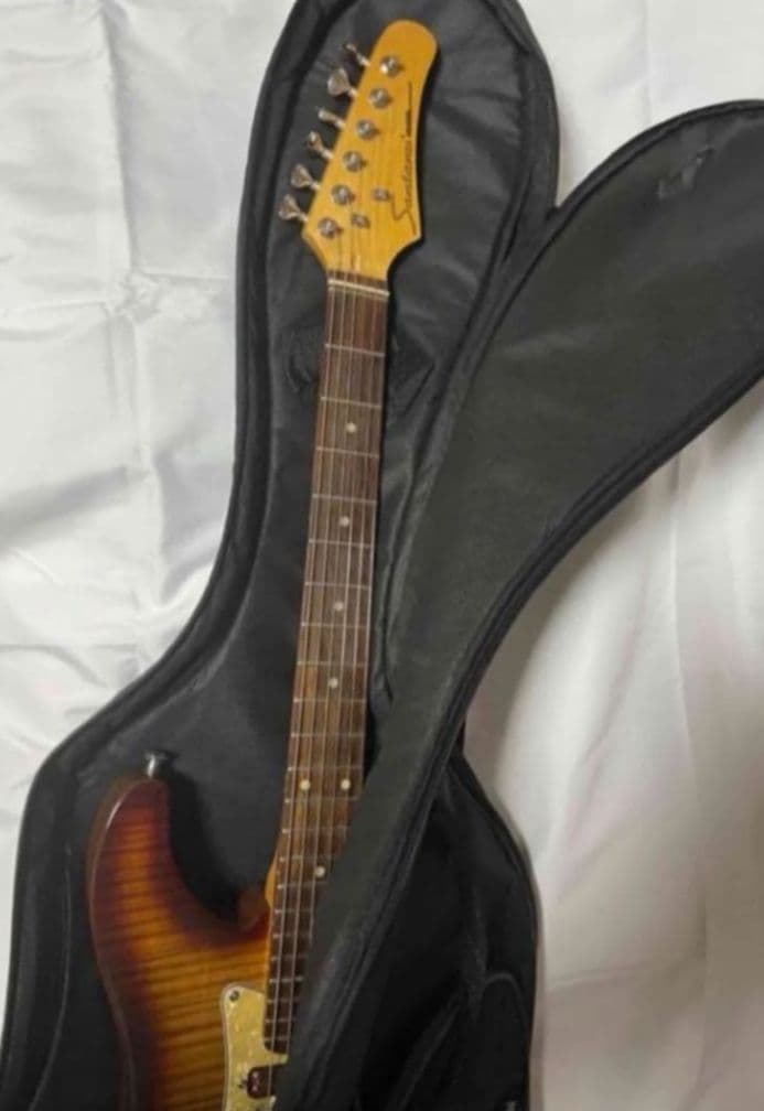 Santanu Pro 光るギター