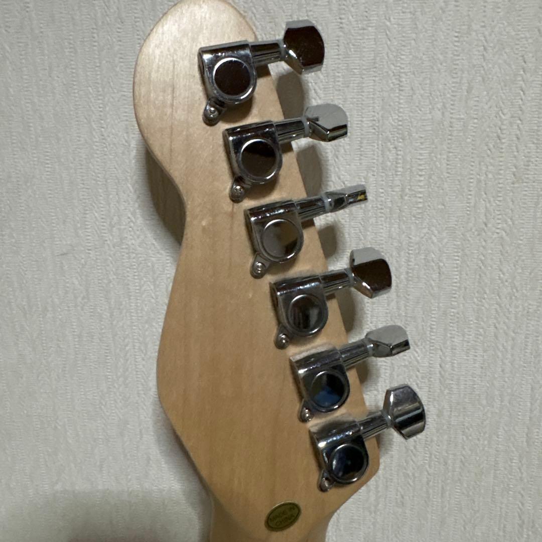 SELDER セルダー　テレキャス　エレキギター　ギター　楽器　ソフトケース