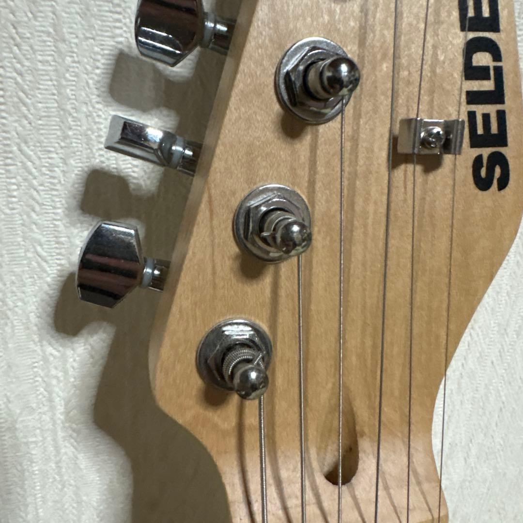 SELDER セルダー　テレキャス　エレキギター　ギター　楽器　ソフトケース