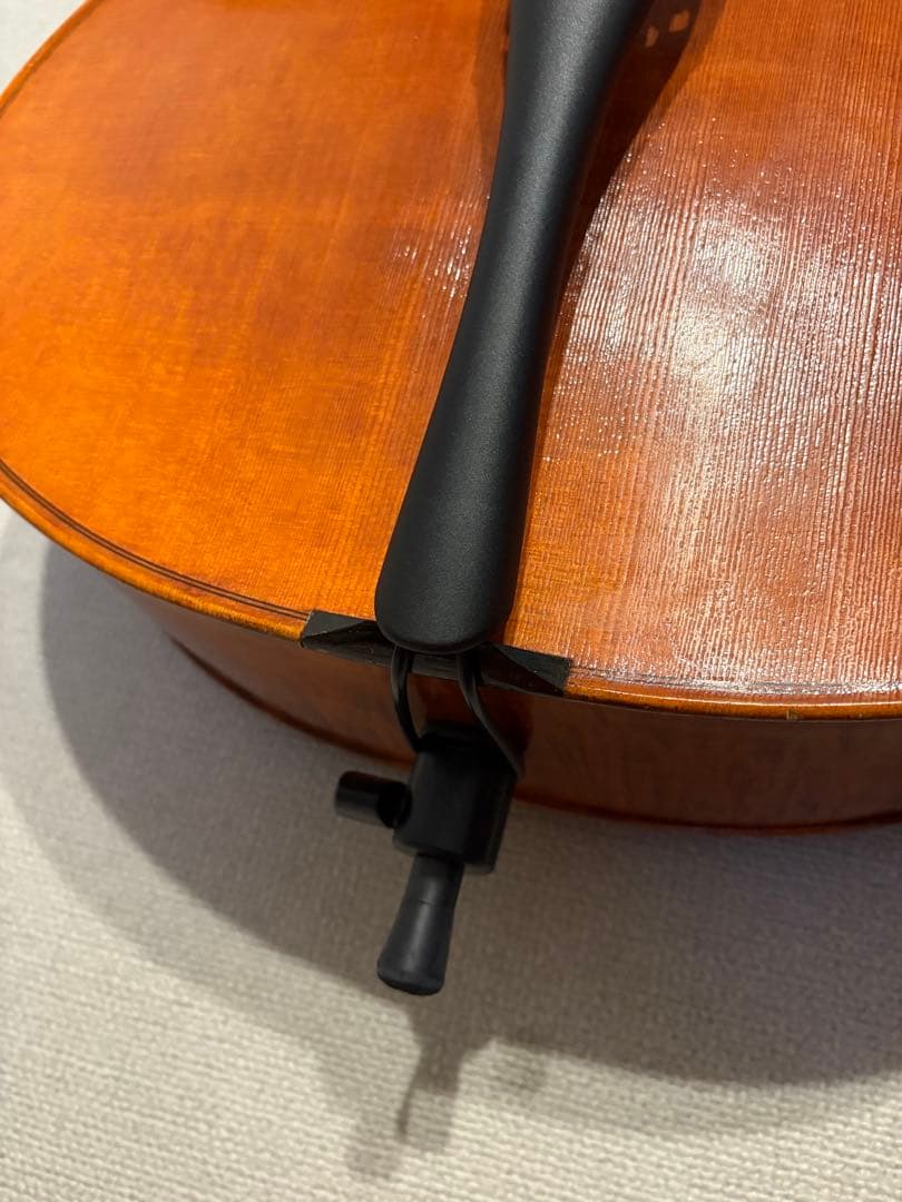 チェロ　Carlo Giordano SC-300