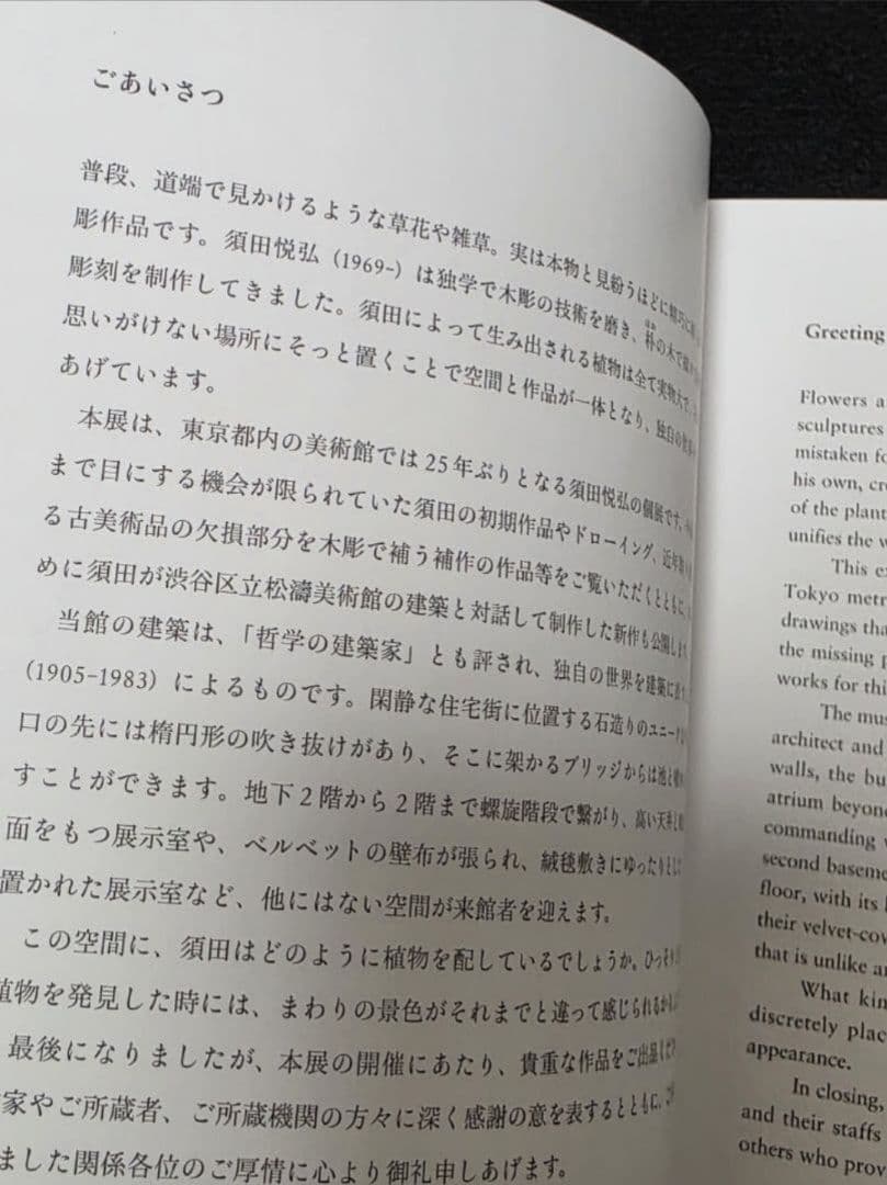 須田悦弘図録　渋谷区立松濤美術館　杉本博司川瀬敏郎　彫刻木彫　現代アート現代美術