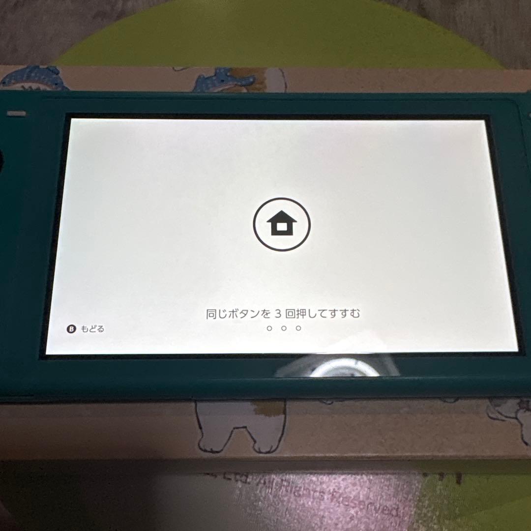 Switchライト本体のみ