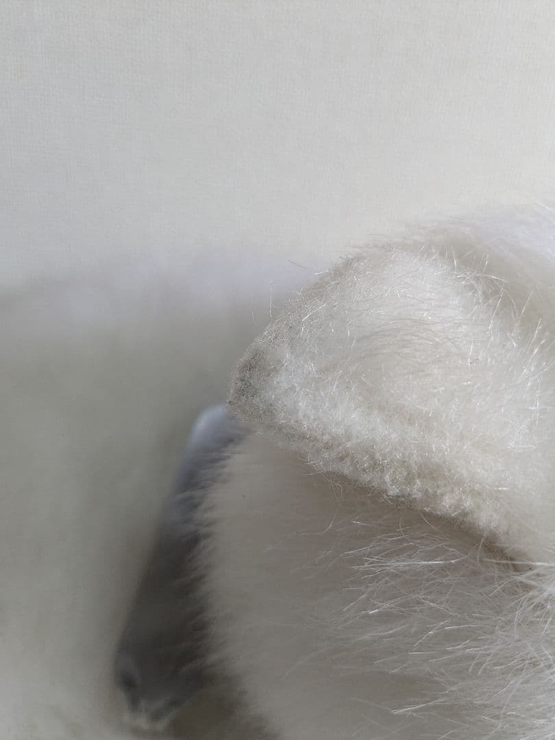 【昭和レトロ】 オリエンタルトーイ ペルシャ猫 くるまりキャッツ ぬいぐるみ