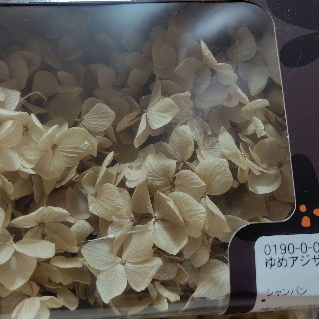 日本製　プリザーブドフラワー　大地農園　あじさい　EARTHMATTERS