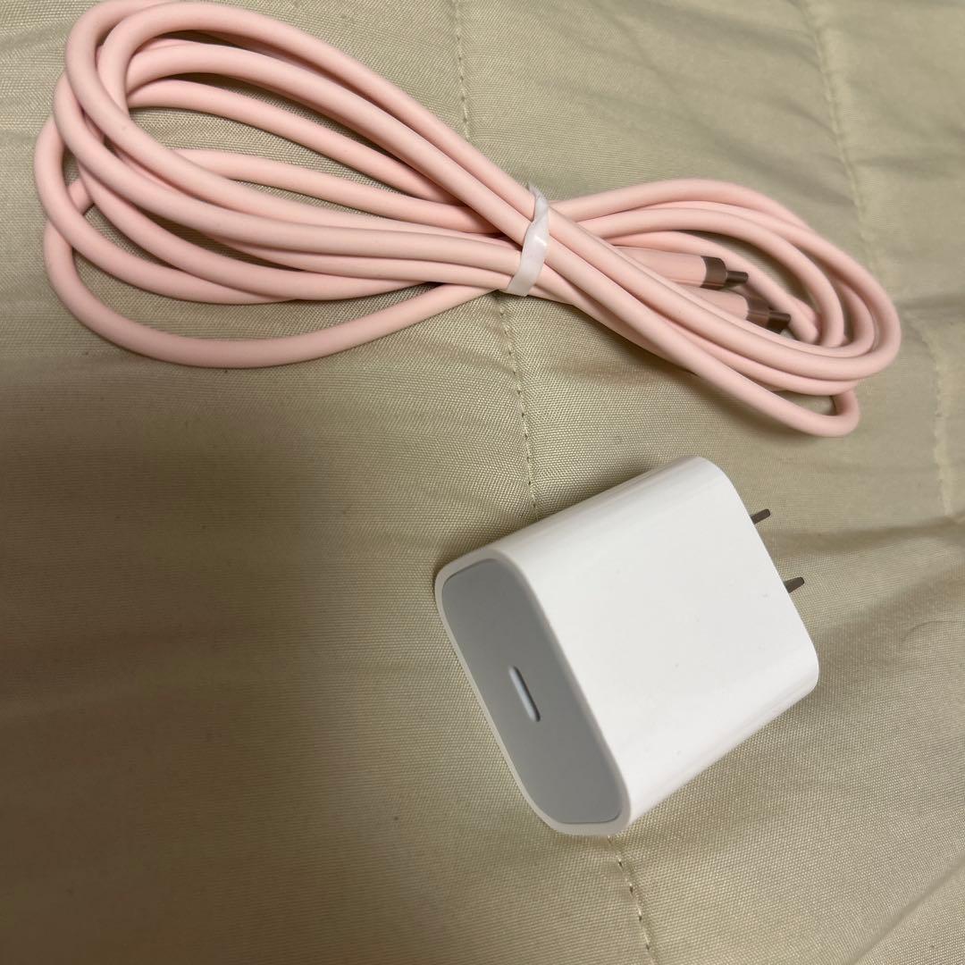 iPad (A16) Wi-Fi 128GB 本体 充電ケーブル付き ブルー