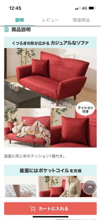 【美品】カジュアルソファ(Nクラウン RE)