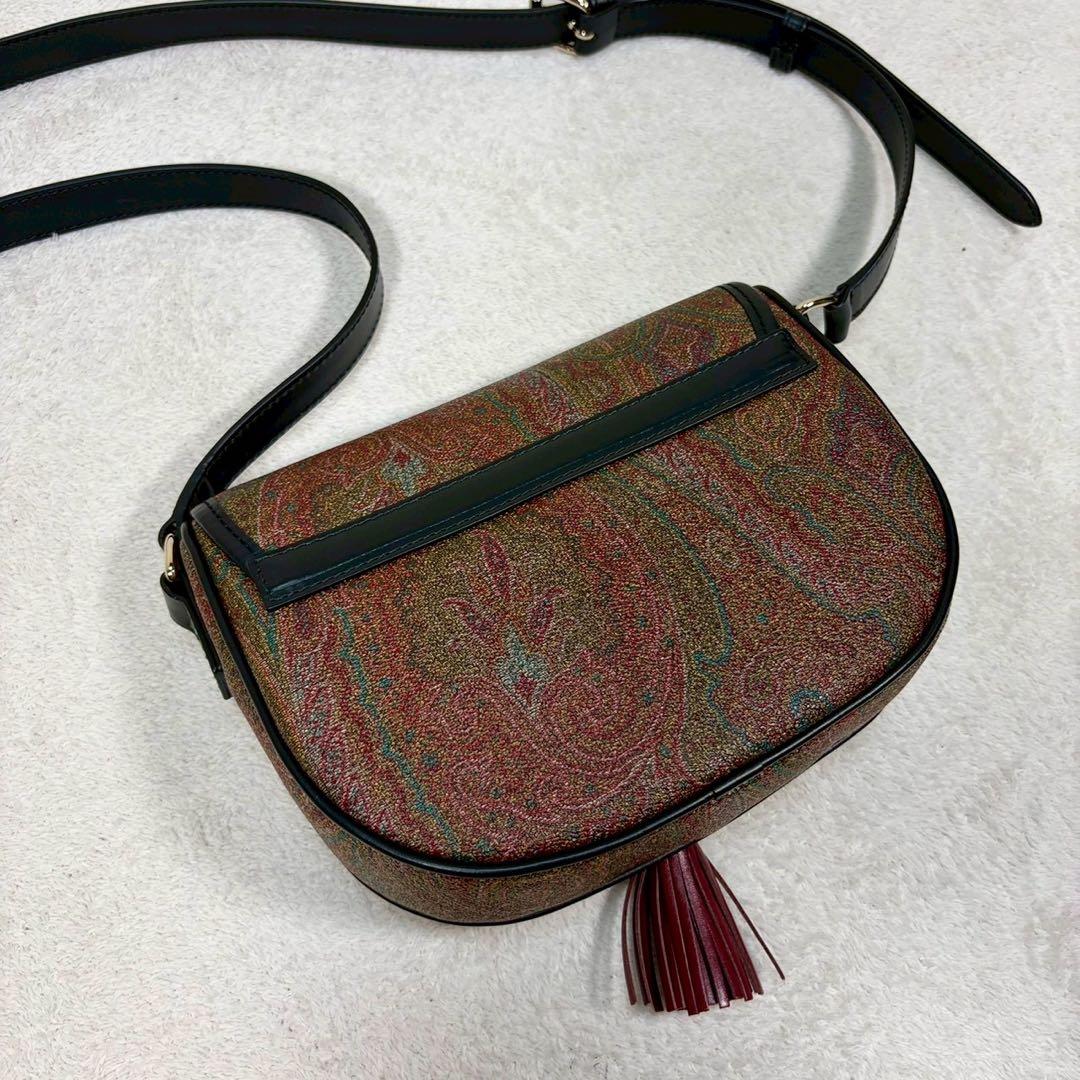 【未使用級✨】エトロ ショルダー　タッセル ペイズリー柄 レザー PVC ミニ