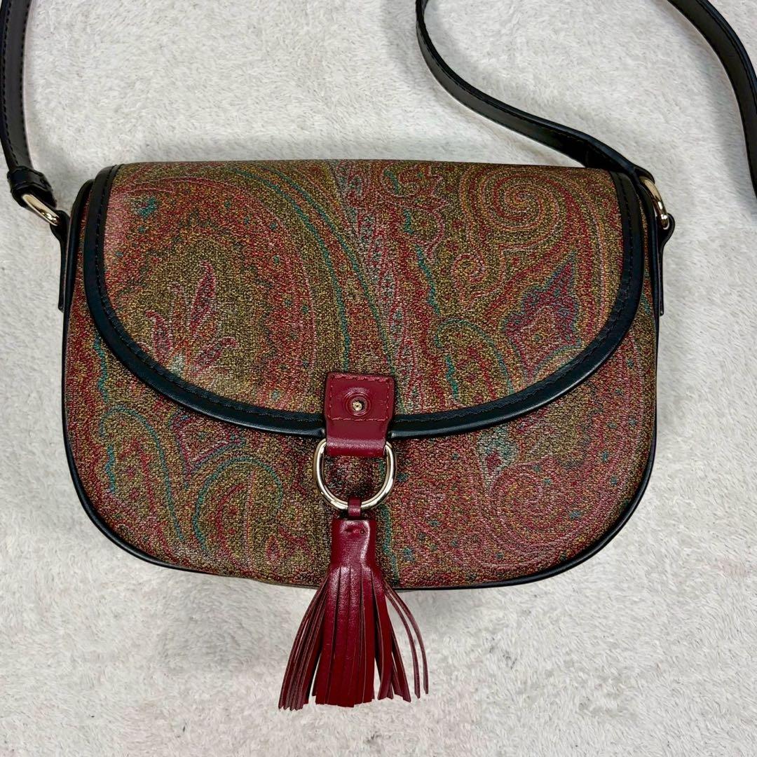【未使用級✨】エトロ ショルダー　タッセル ペイズリー柄 レザー PVC ミニ