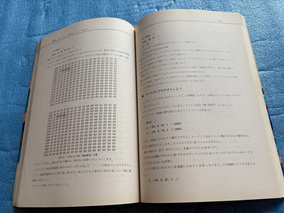 初級プロテクト掛け方教室: PC98/88ディスク入門マル持セミナー　五代陽子