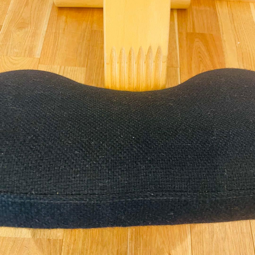 バランスチェア easy イージー リボ rybo バランスイージー サカモト