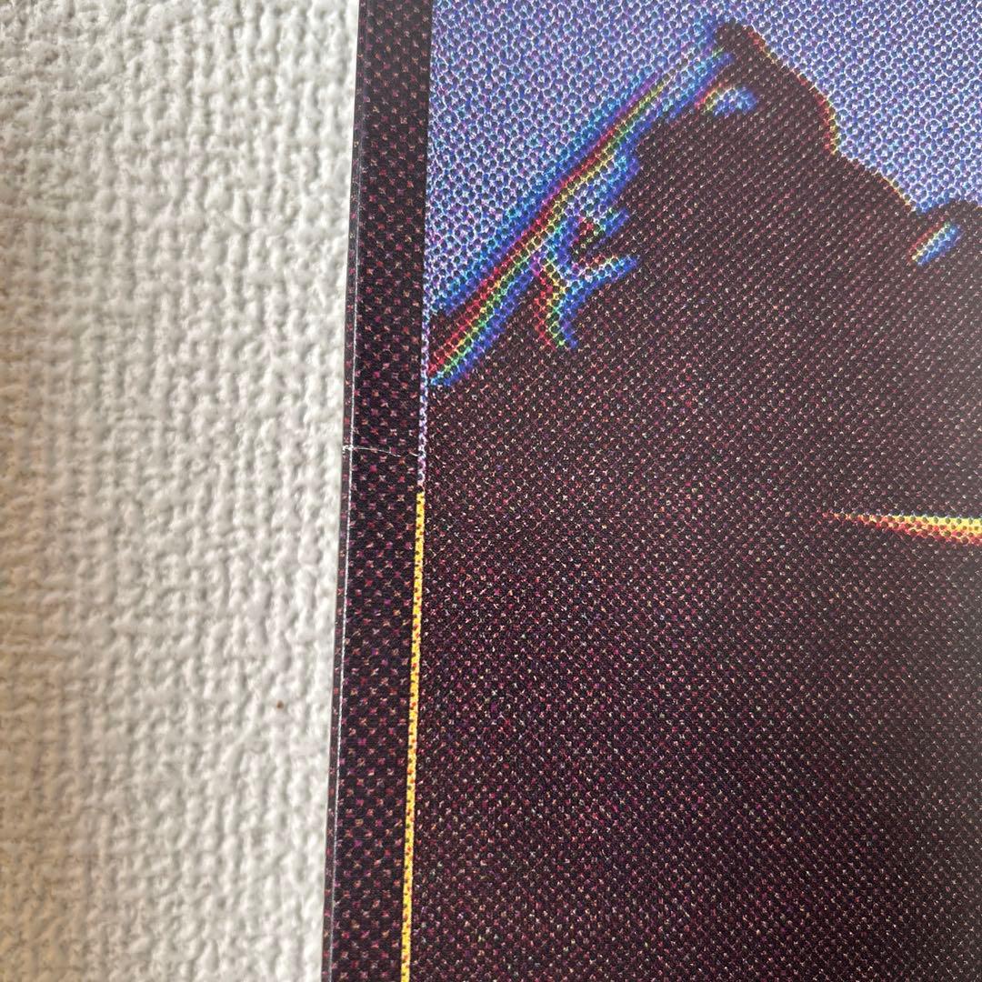 OGRE YOU ASSHOLE 家の外 LP レコード