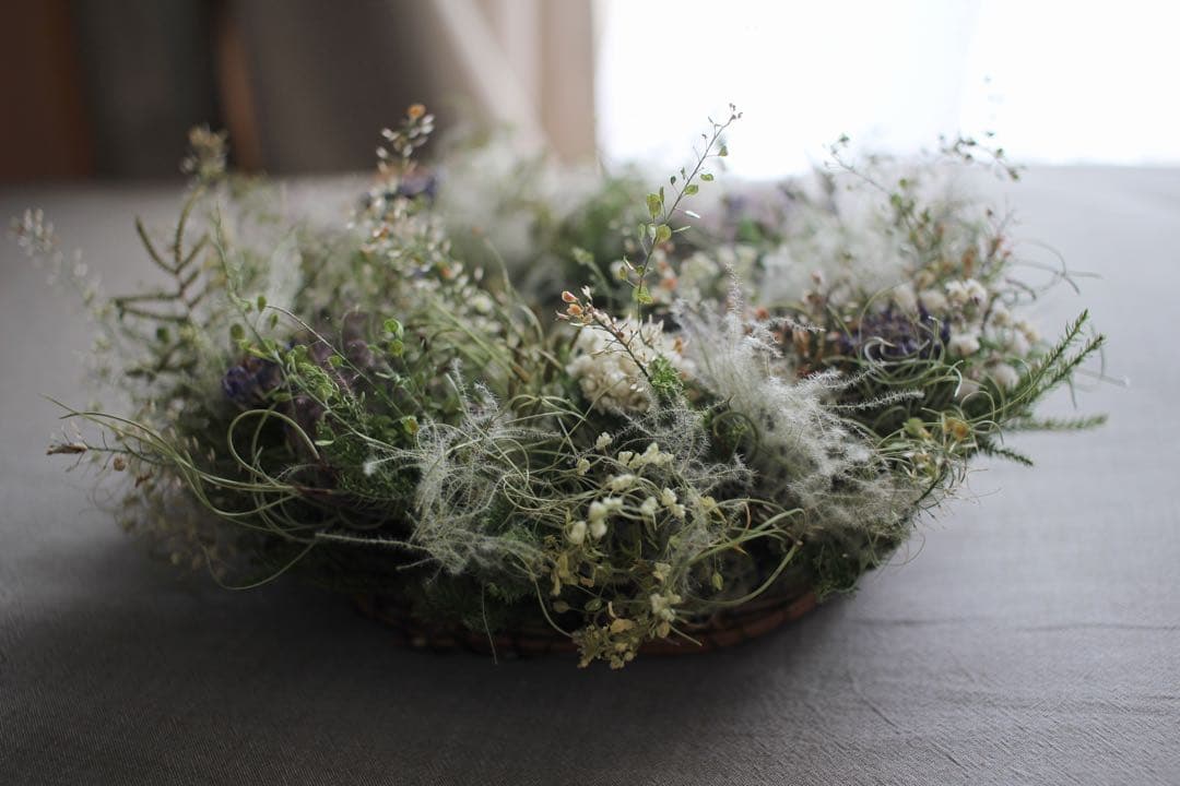 スカビオサとスモークツリーのふんわり夏草リース◎20センチ