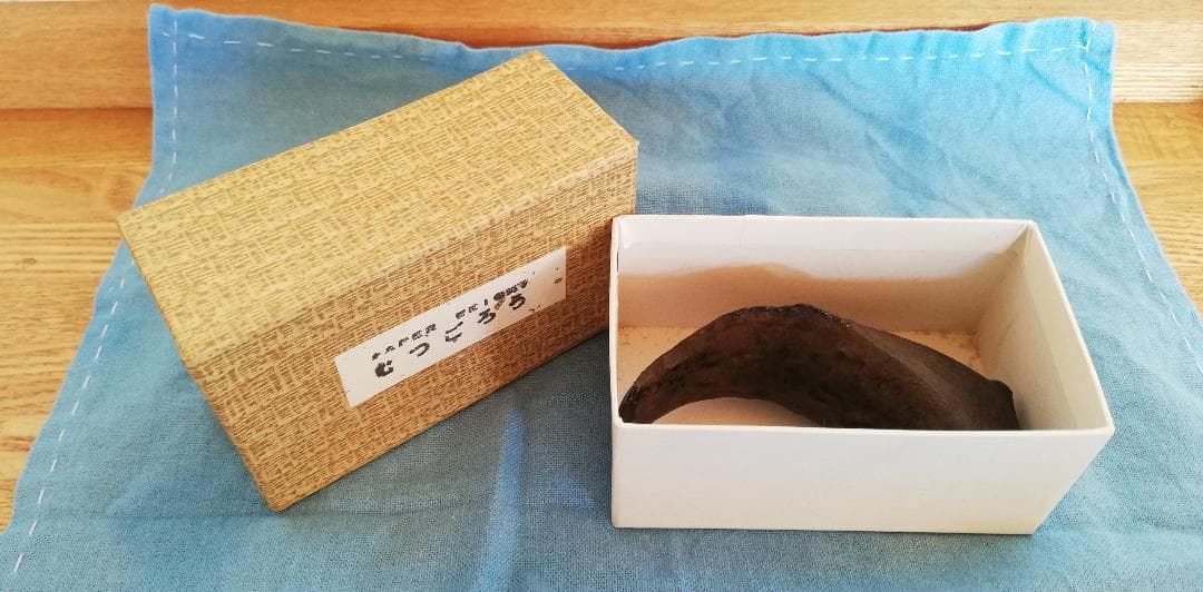 ムツゴロウ ペーパーウエイト