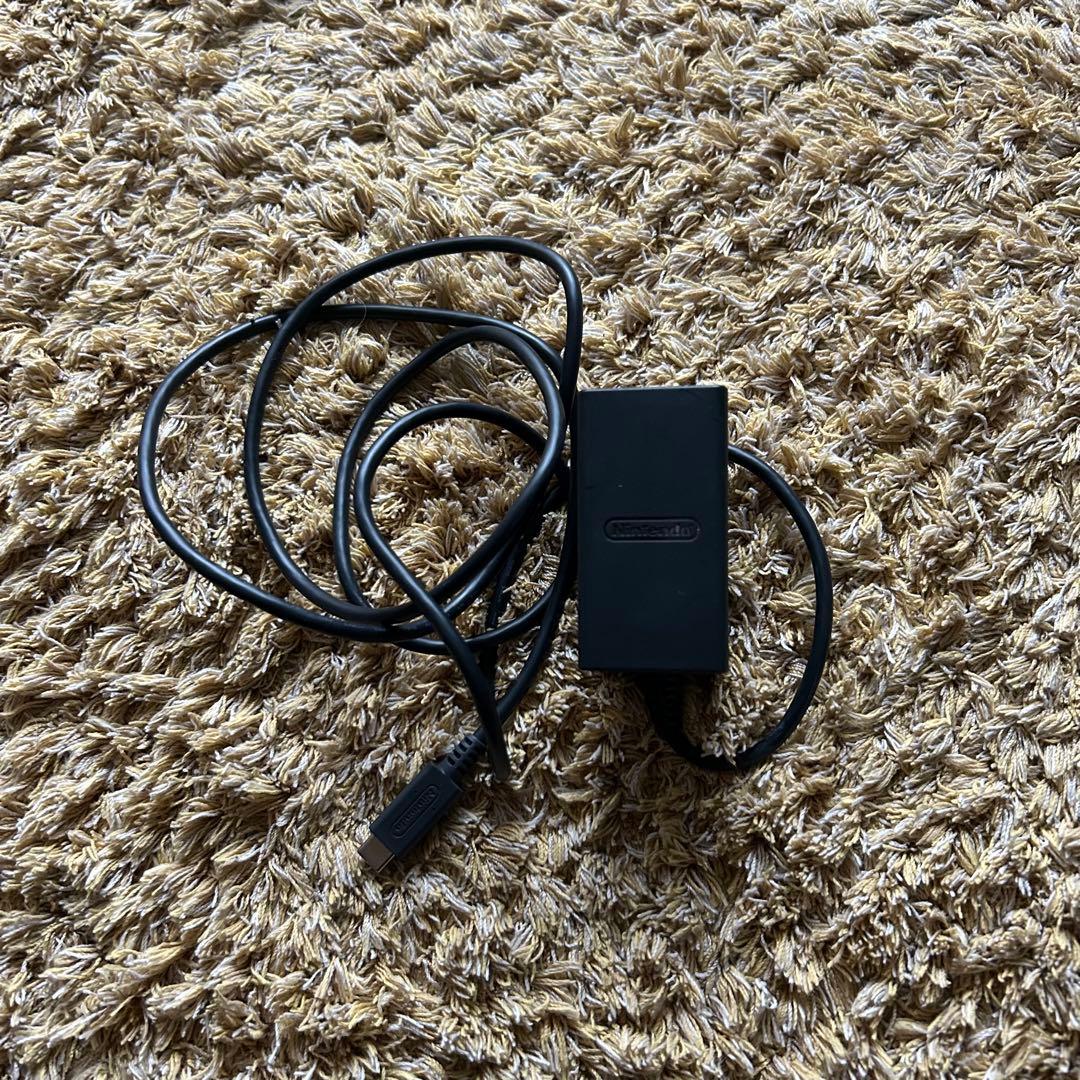 Nintendo Switch Lite どうぶつの森ソフト 「充電器あり」